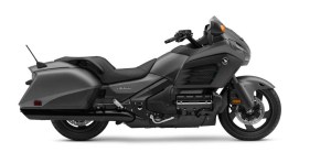 Gold Wing F6B 40